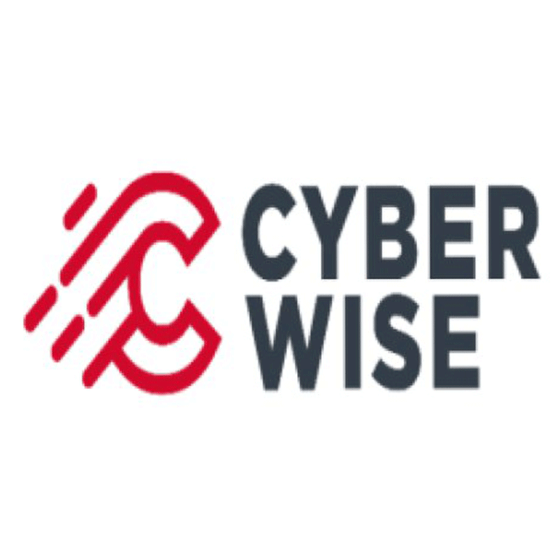 Cyberwise