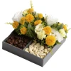 SED Bloom 2
