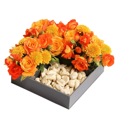 SED Bloom 3