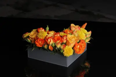 SED Bloom 3